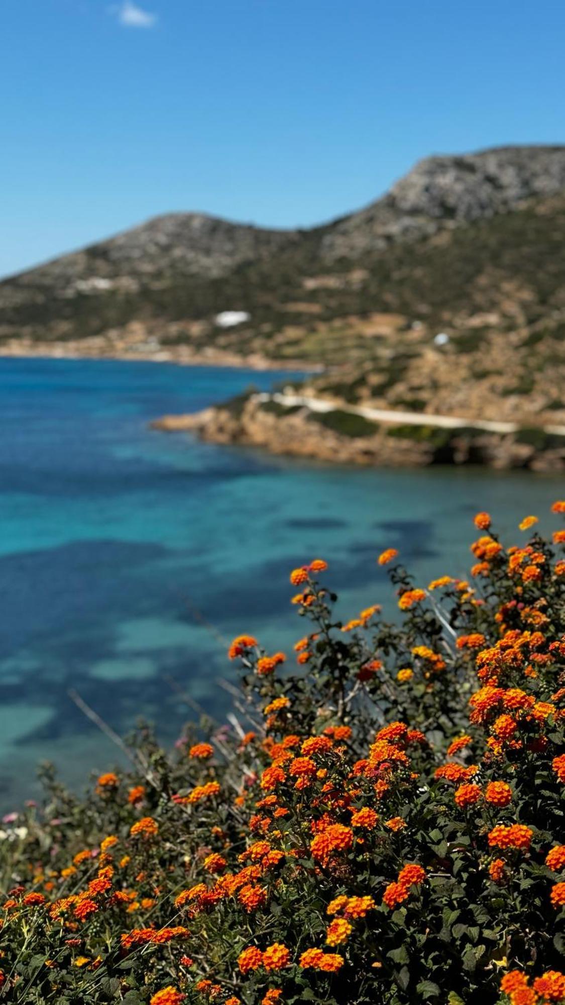 Lipsi Blue Hotel Εξωτερικό φωτογραφία